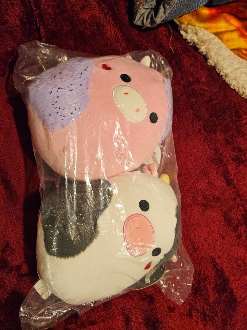 Reshma & Connor Valentines Squishmallow Set